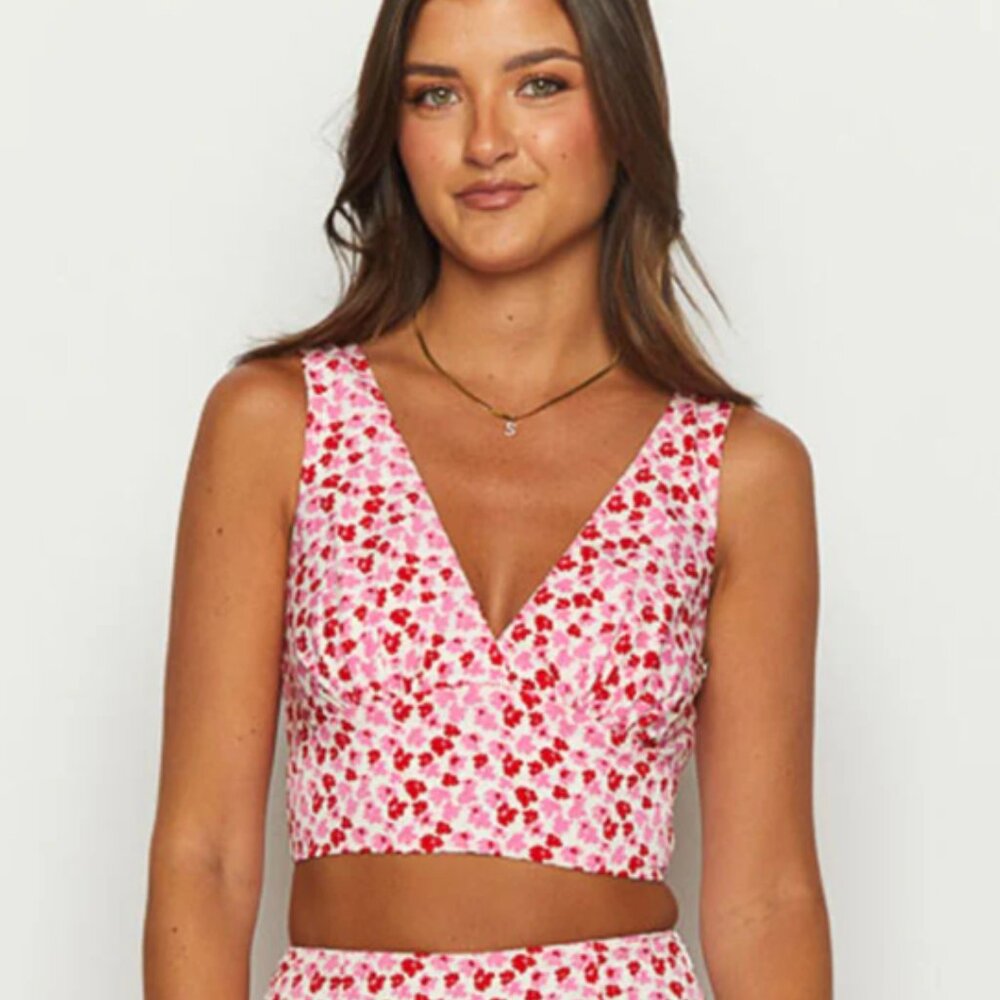 Dahlia Pink and Red Speckled Crop Top from Beginning Boutique (tags on)
